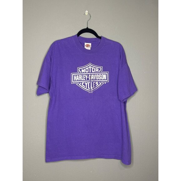 VTG Harley Davidson Motor Cycles Purple Graphic Tee Okoboji Iowa - Picture 1 of 10